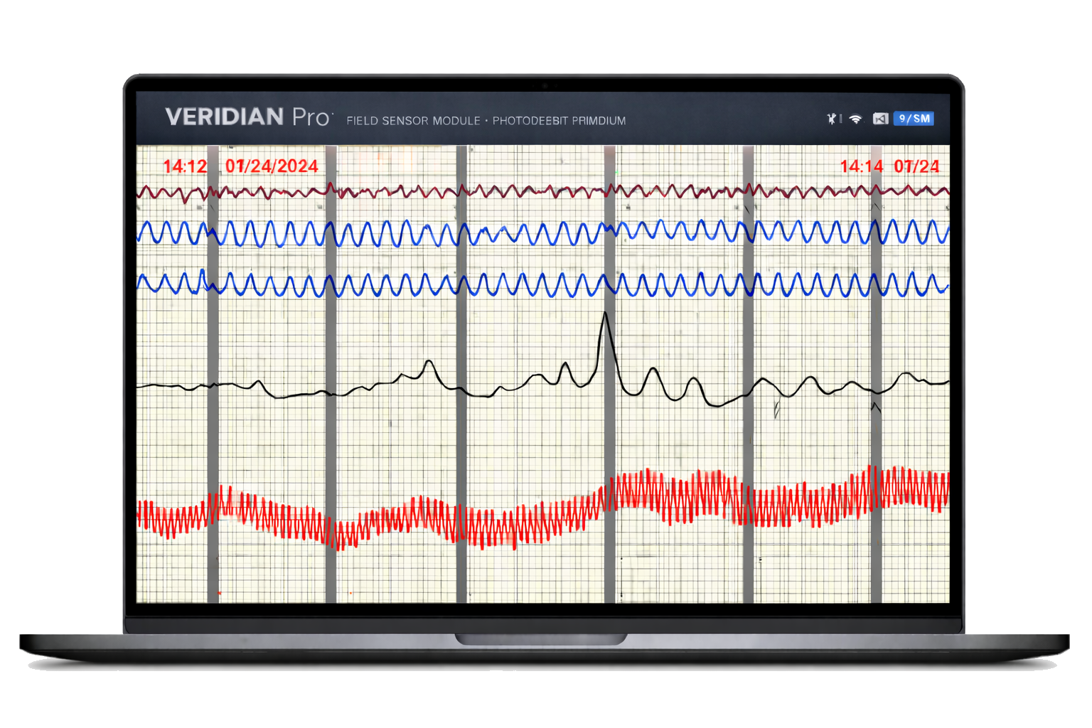 Veridian Software